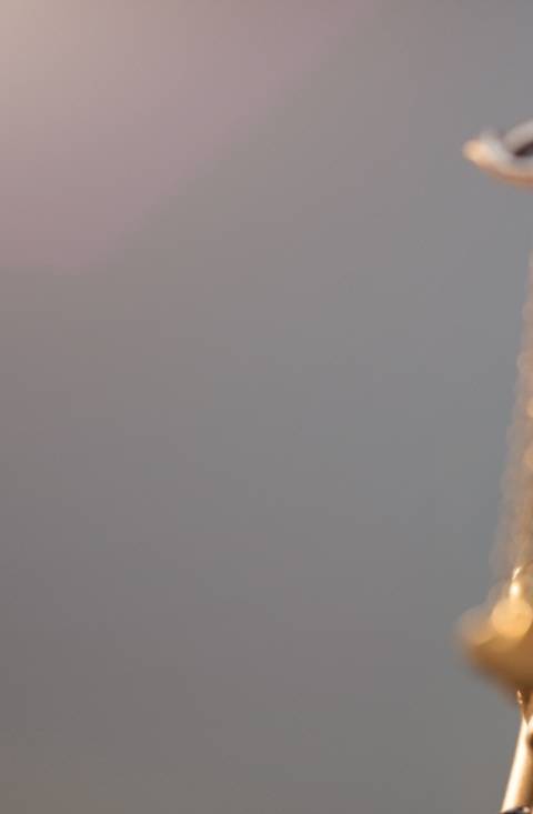 근저당권이 여러 개인 경매 물건에서 예상하지 못한 권리관계를 발견했을 때 대응 방향